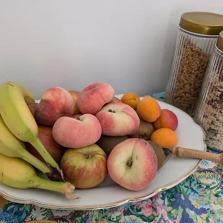 Hotel Galeriehotel Maribondo *